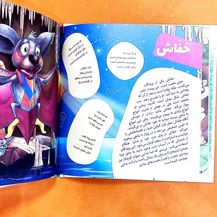 تصاویر داخل کتاب 