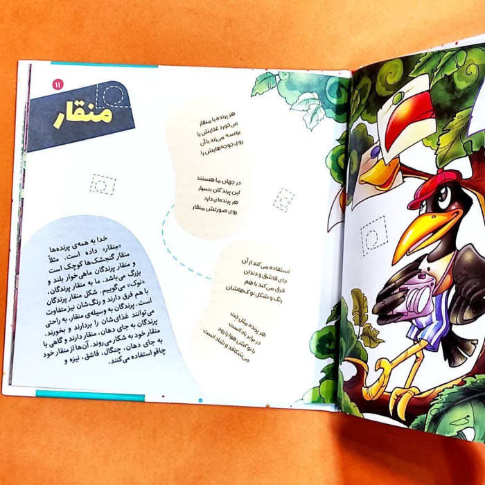 تصاویری ازداخل کتاب 