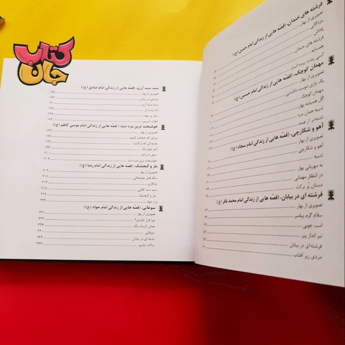 تصویر داخل کتاب 