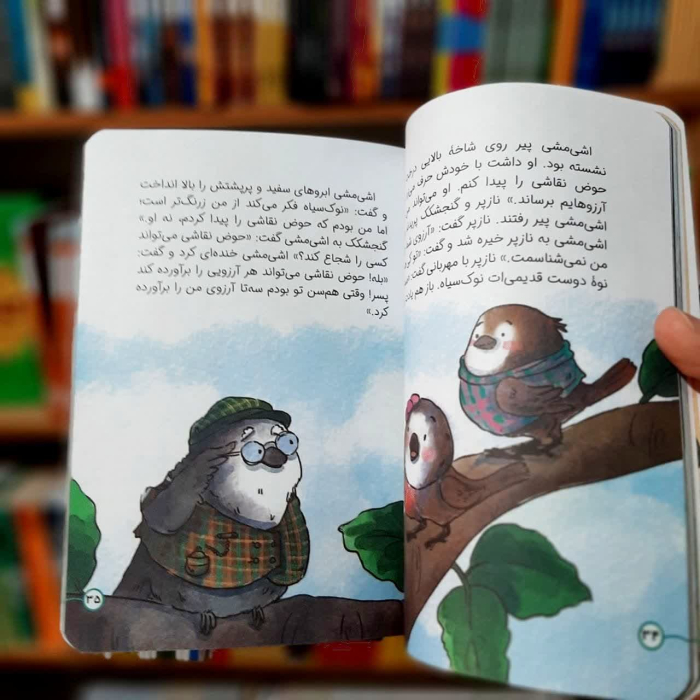 تصاویر داخل کتاب 