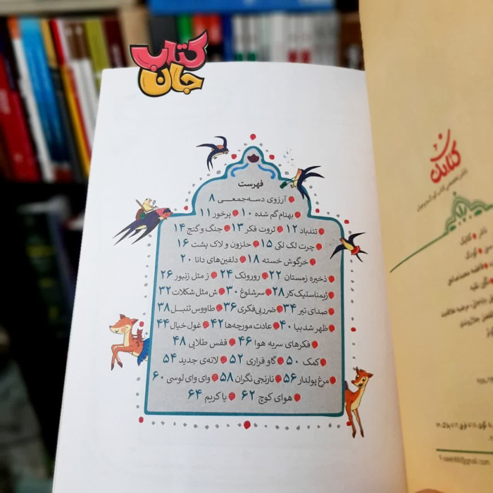 تصاویر داخل کتاب 