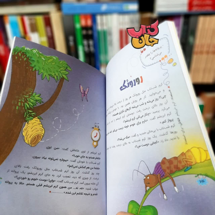 تصاویر داخل کتاب 