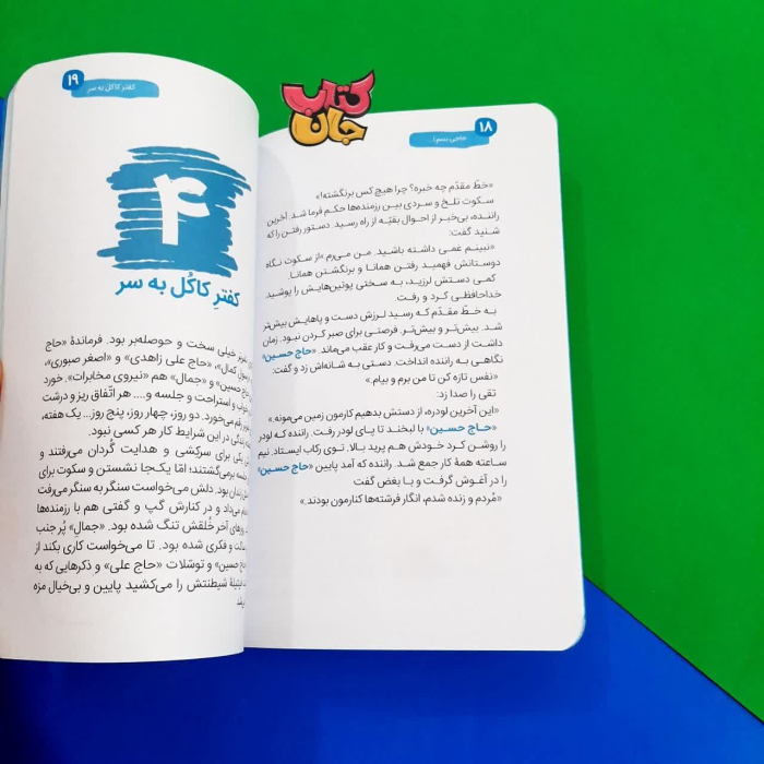 تصویر داخل کتاب 