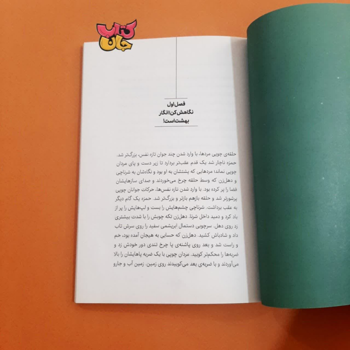 تصاویر داخل کتاب 