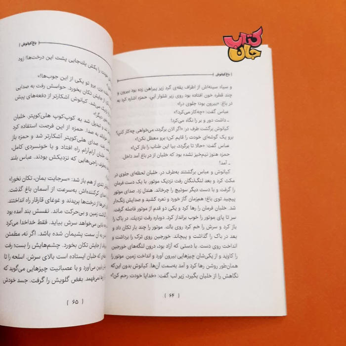 تصاویری ازداخل کتاب 
