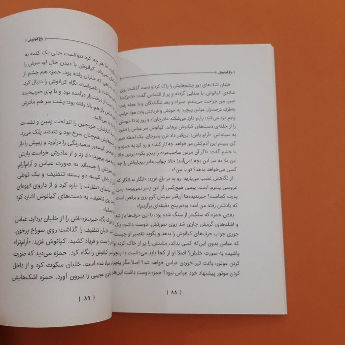 تصویر داخل کتاب 