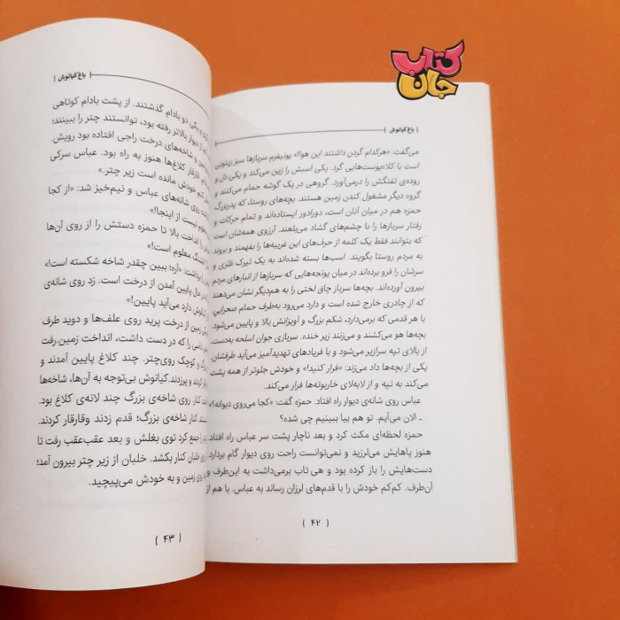 تصاویری ازداخل کتاب 