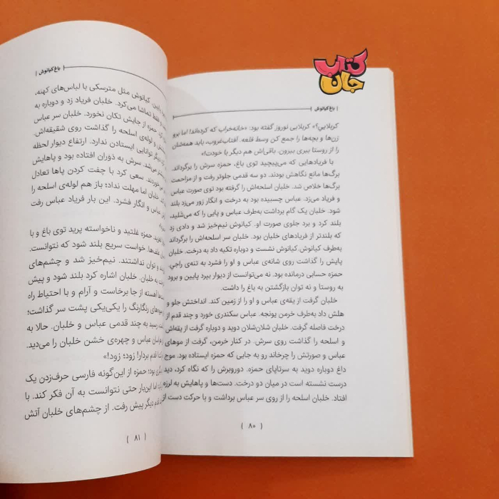 تصاویری ازداخل کتاب 