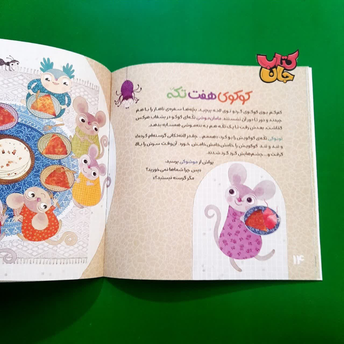 تصویر داخل کتاب 