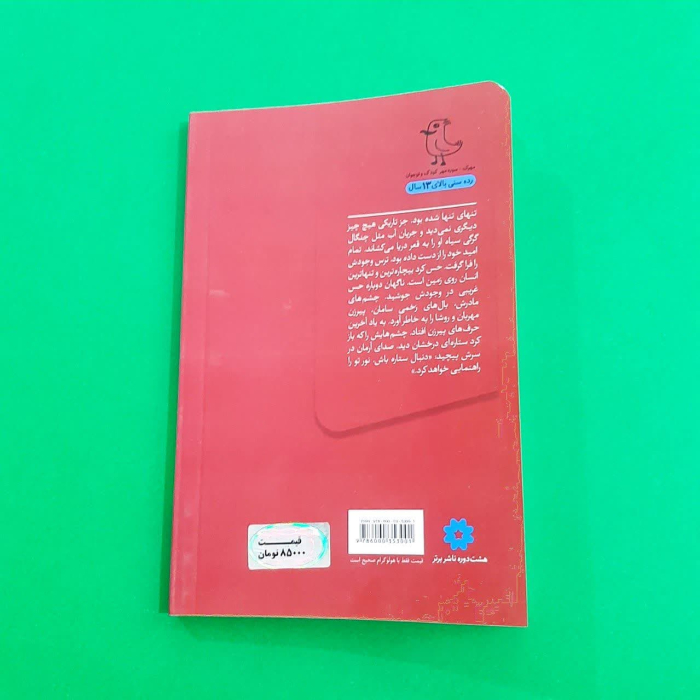 تصویر پشت جلد کتاب 