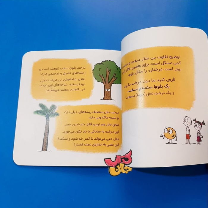 تصاویر داخل کتاب 