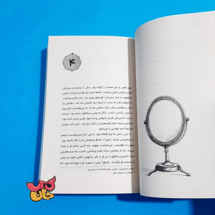 تصاویر داخل کتاب 