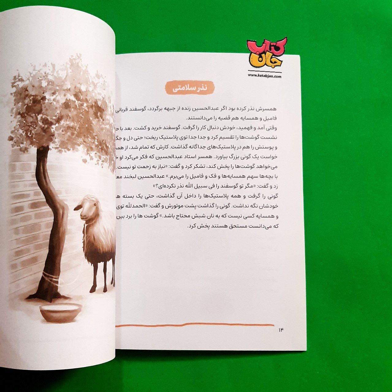 کتاب استاد عبدالحسین از مجموعه قهرمان من 