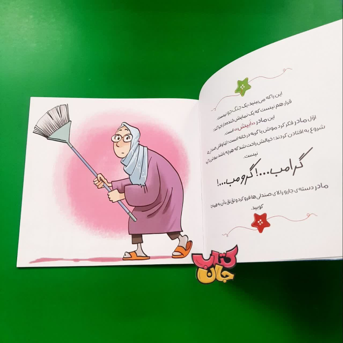 تصاویر داخل کتاب 