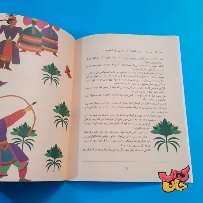 تصویر داخل کتاب 
