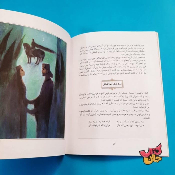 تصویر داخل کتاب 