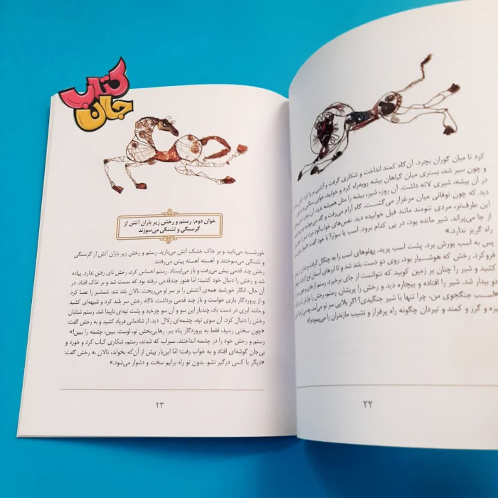 تصویر داخل کتاب 