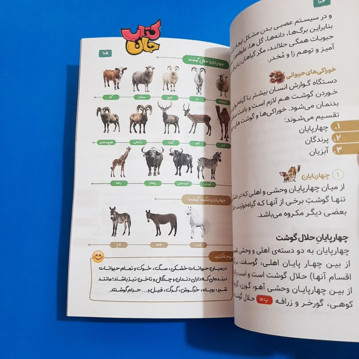 تصاویری ازداخل کتاب 