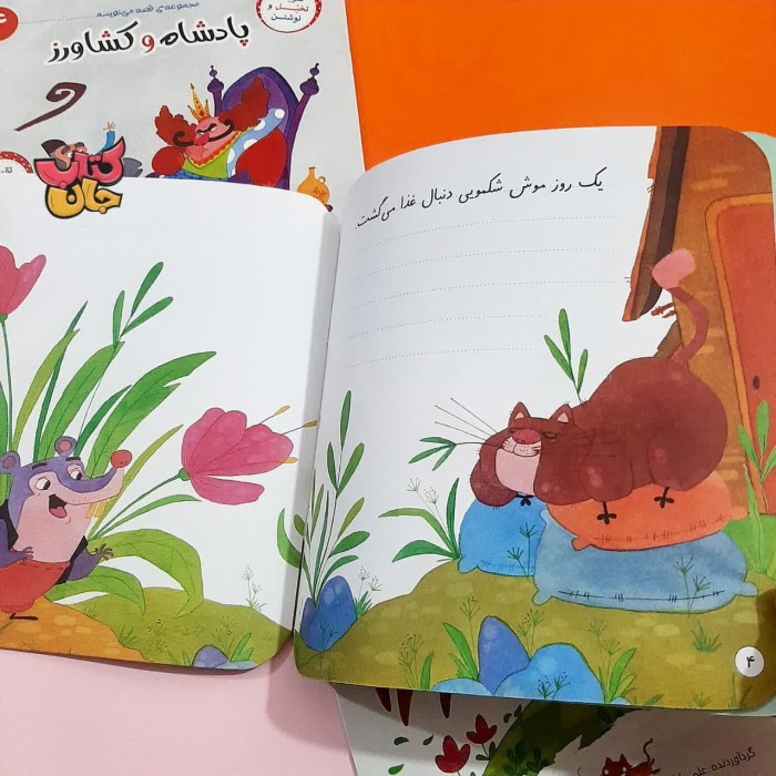 تصاویر داخل کتاب 