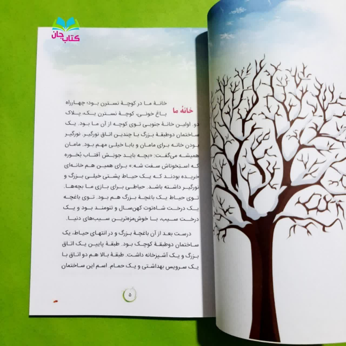 تصاویر داخل کتاب 