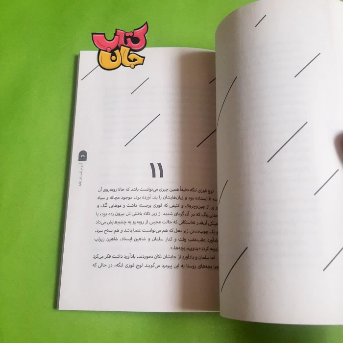 تصویر داخل کتاب 