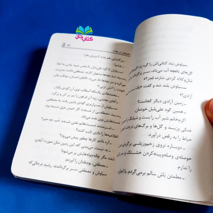 تصویر داخل کتاب 