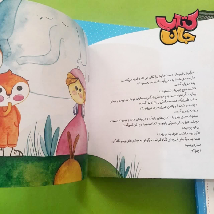 تصویر داخل کتاب 