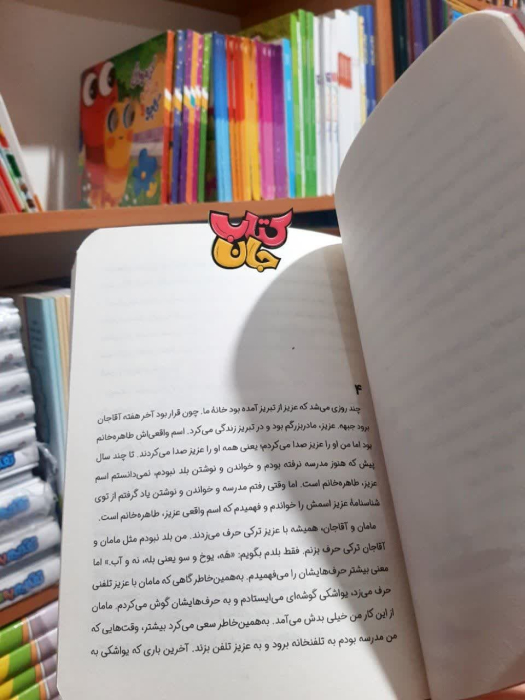 تصویر داخل کتاب 