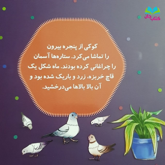 تصویر پشت جلد کتاب 
