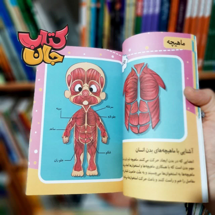 تصویر داخل کتاب 