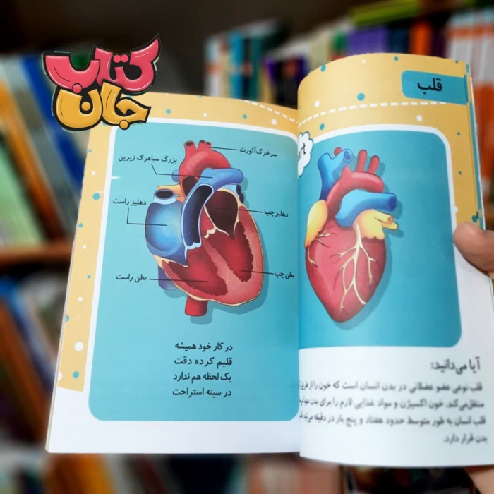 تصاویری ازداخل کتاب