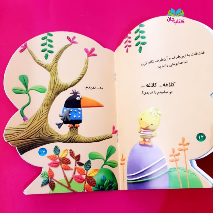 تصاویر داخل کتاب 