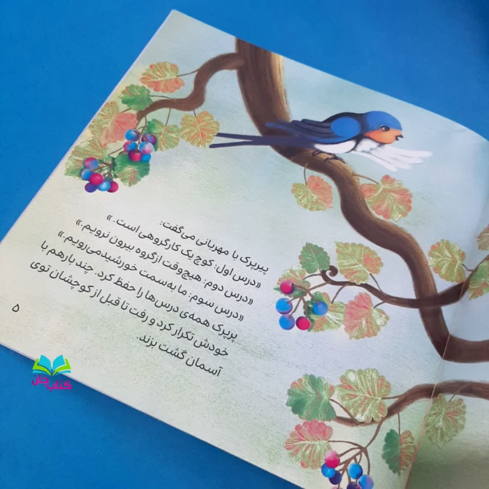 تصویر داخل کتاب 