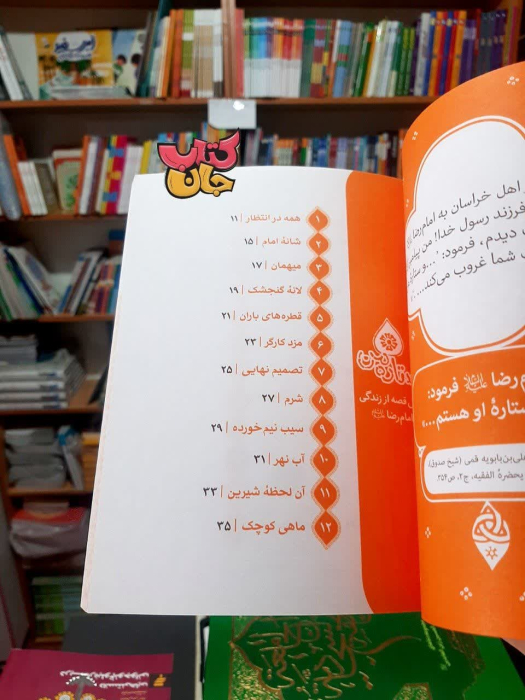 تصاویر داخل کتاب 