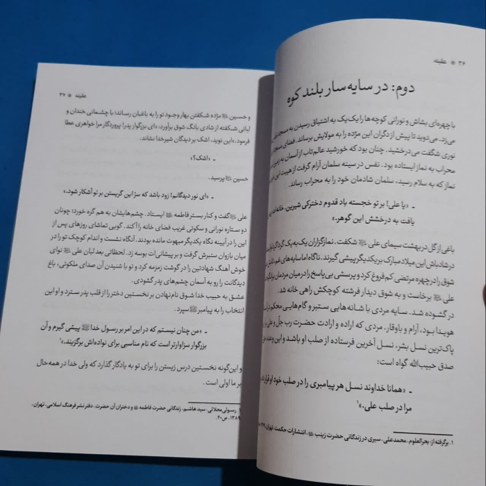 تصویر داخل کتاب 