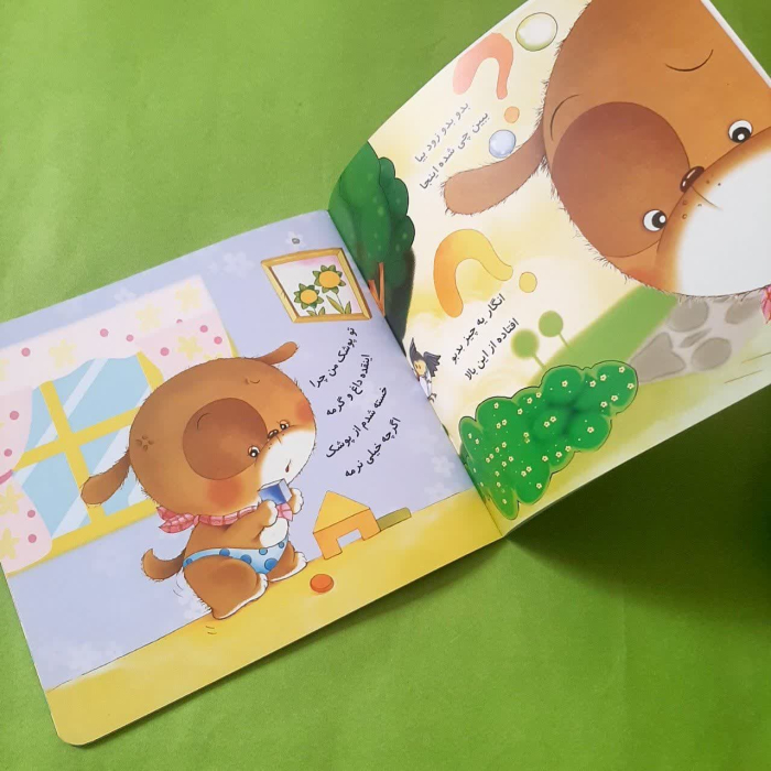 تصاویر داخل کتاب 