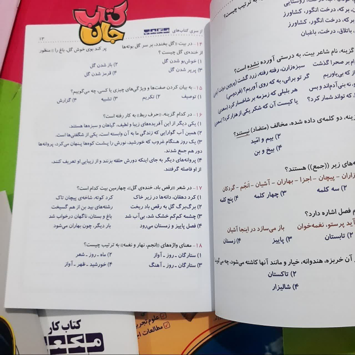 تصاویر داخل کتاب 