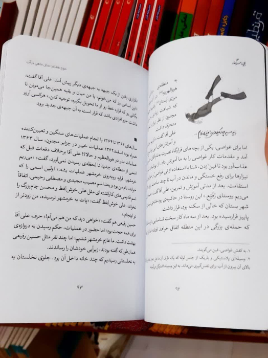 تصاویر داخل کتاب 