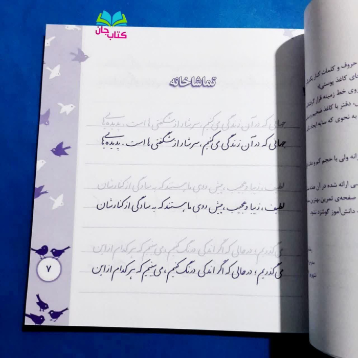 تصاویر داخل کتاب 