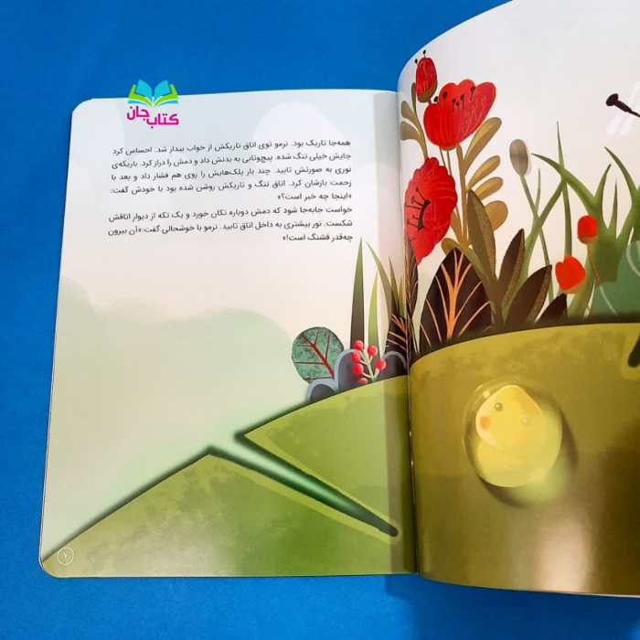 تصویر داخل کتاب 