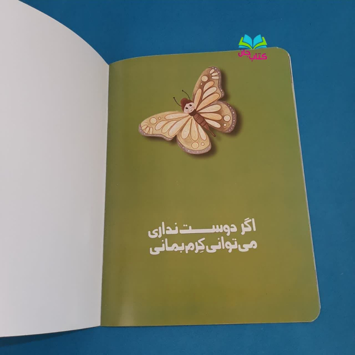 تصاویر داخل کتاب 
