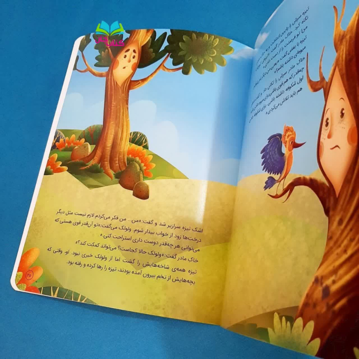 تصاویر داخل کتاب 