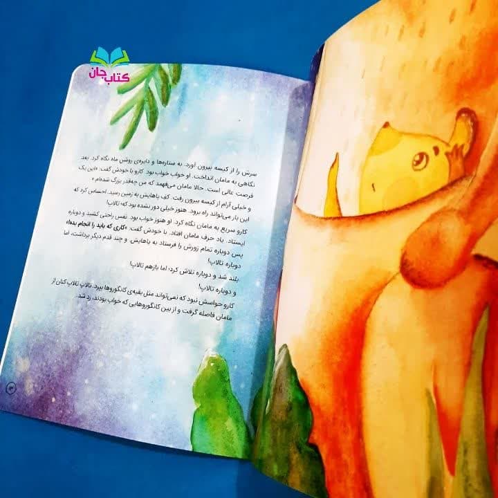 تصاویر داخل کتاب 