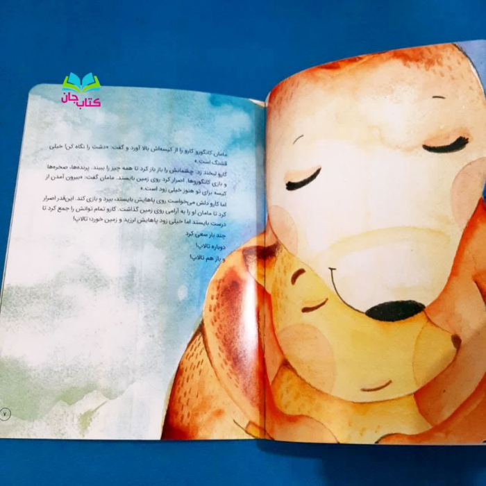 تصویر داخل کتاب 