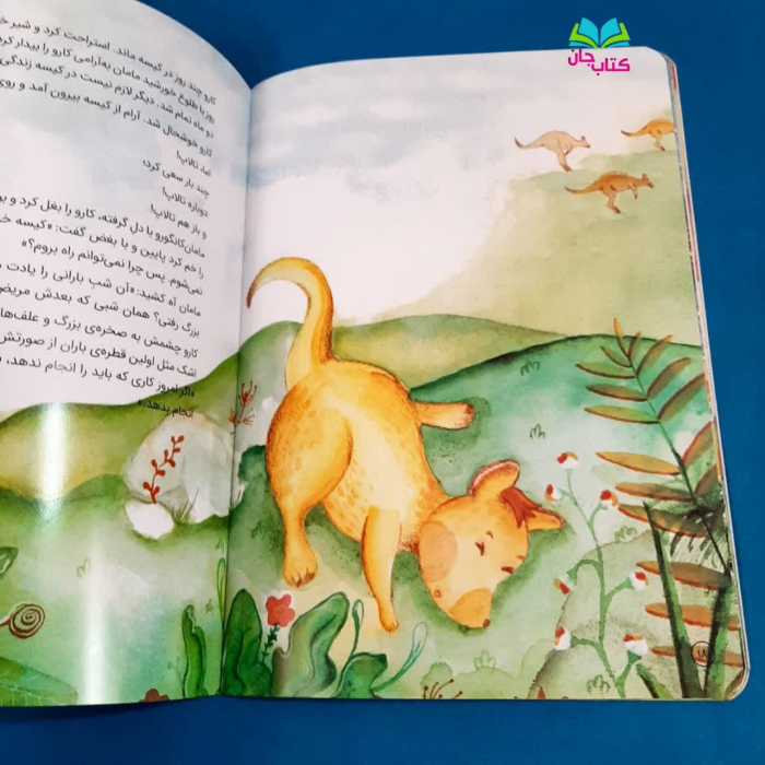 تصاویری ازداخل کتاب