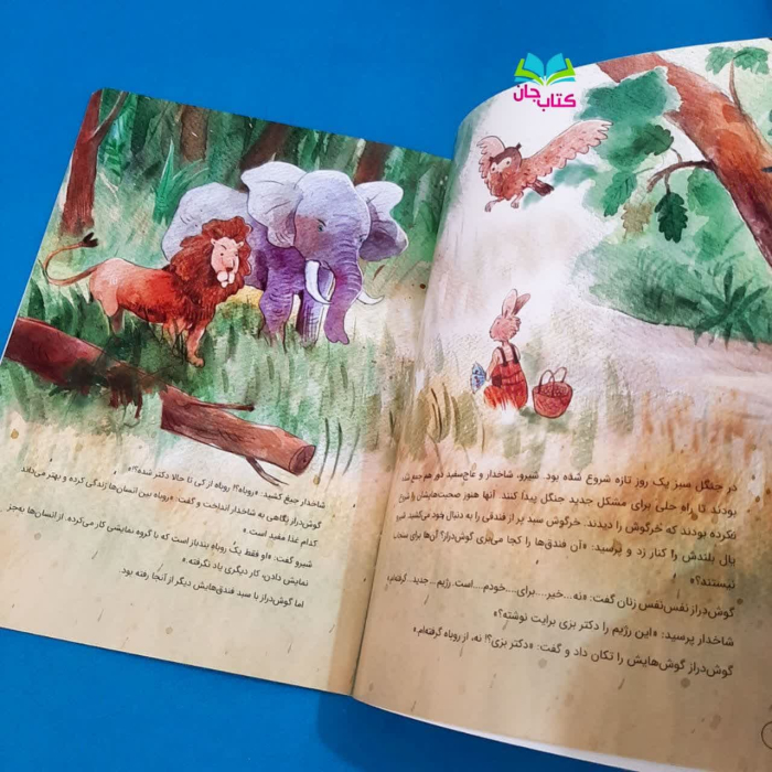 تصاویر داخل کتاب 