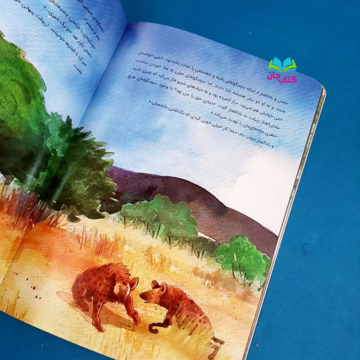تصویر داخل کتاب 