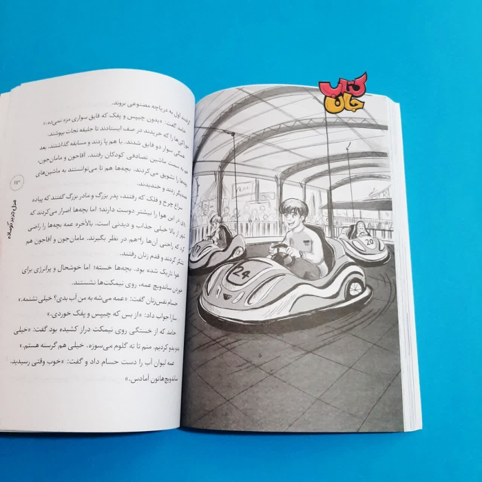 تصویر داخل کتاب 