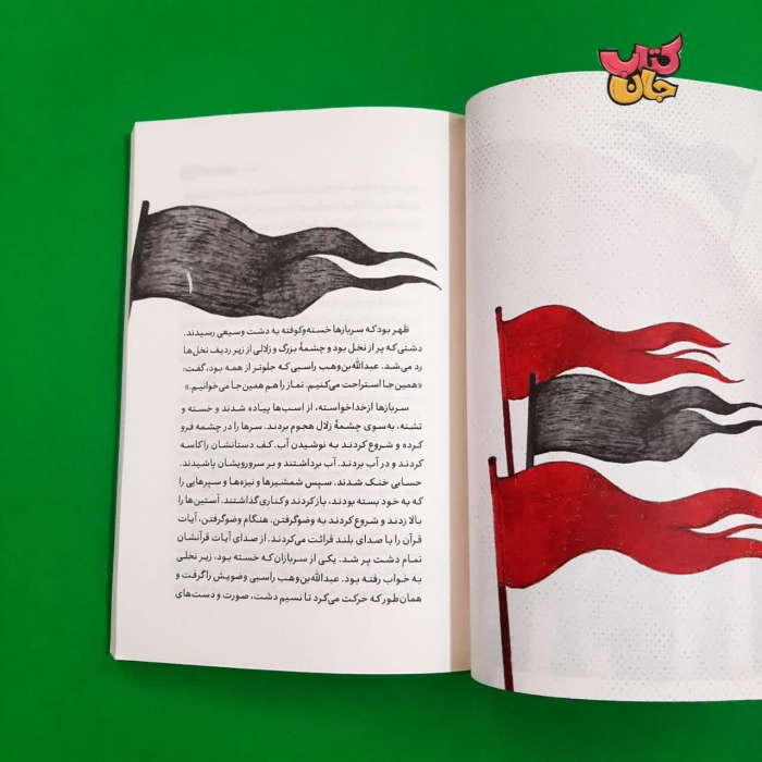 تصویر داخل کتاب 