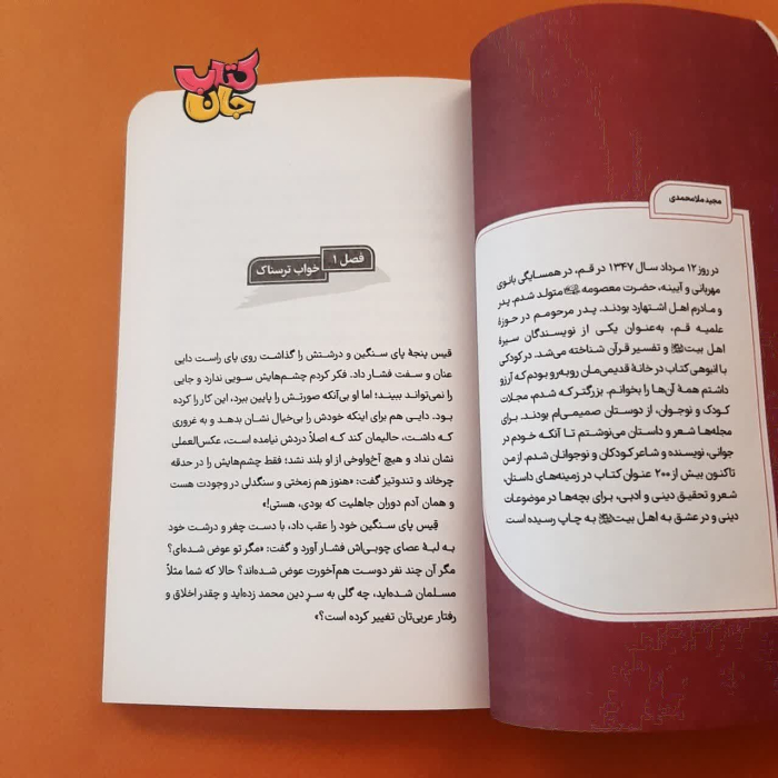 تصاویر داخل کتاب 